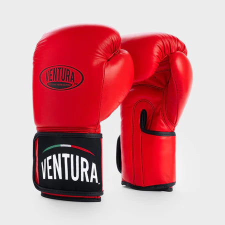 GANTS DE BOXE EN CUIR VÉRITABLE